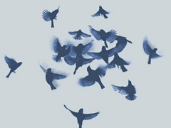 [텐낲]아이돌 AU