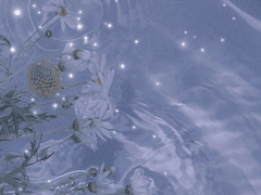 나의 히어로 아카데미아 히어로즈 라이징 낙서 합본