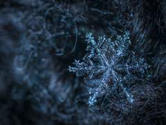 [GC] 제로엘리 - 하뭇하니 내리는 솜눈