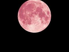 프로필+프롤로그