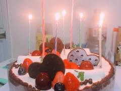 제 15강/소설 작법 지침서