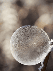 인세인 시나리오 배포