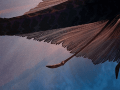 Ariel Cordelia Ethereals