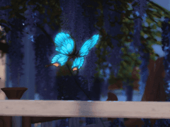 나비관 안내서 🦋