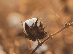 서다빈 / 20살 / XX