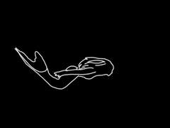 제니 X 라일라_ Myers Defence