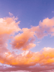 목줄 쥐여주는 가이드