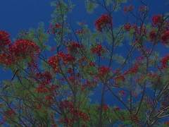 美는 언제나 새로운 걸 원하지.