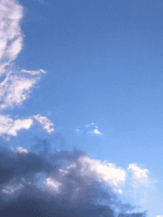 글러꿈나무의 글