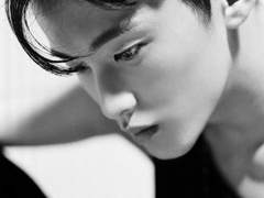 네 안에 호랑이 2