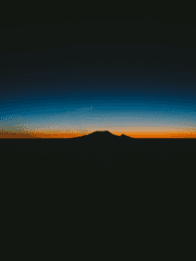 영인들은 무엇을 위해 움직이는가