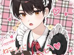 배세진 메이드 프리쿠라도안 배포