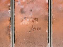 한결같이 빛나는