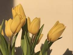 세아커 고백로그