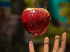 손민수 글 하나 약간의 수정을 거쳤습니다.