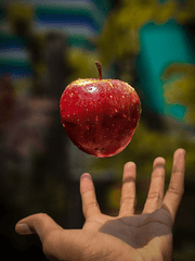 남자꼬시기/여자꼬시기 강좌