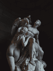 최영탁 <PROJECT Z-J5>