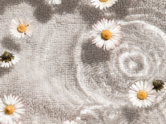 多情多感 다정다감 3