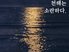 천해淺海는 소란하다.