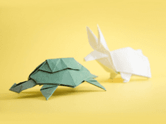 다른 의미의 토끼와 거북이 출간 소식