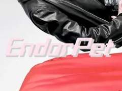 [완결] 엔돌펫 추천 W.벨라