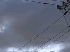 21. 이름이 싫어진다.