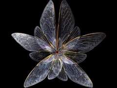 의호는 호의를 몰랐다