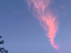 서로의 이상형의 만남