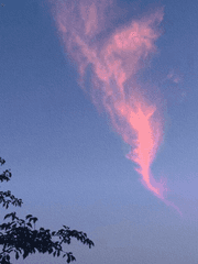 서로의 이상형의 만남