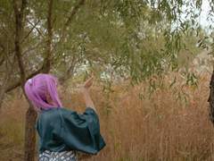 刀剣乱舞-蜂須賀虎徹 : 軽装 cosplay