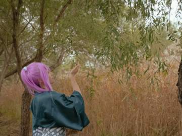 刀剣乱舞-蜂須賀虎徹 : 軽装 cosplay