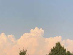 にしはら えいと