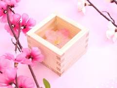 [카니모모] 심중