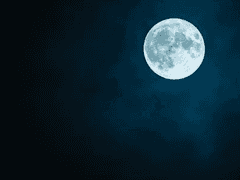 빈설흰_외관.26_xx