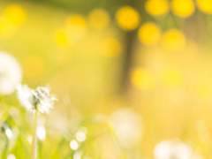 손을 잡고 걸어가는 사람들