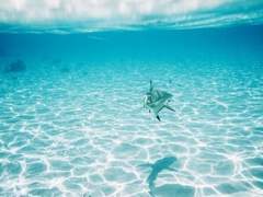 너에게 전하는 내 대답