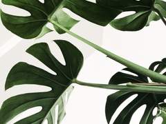 잿빛 하늘에 색을 뿌리고