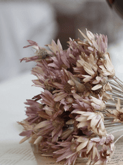 또라이 보존의 법칙