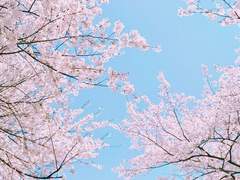 [미도치아]너의 히어로가 되고싶어上2