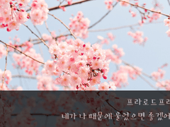 [프라우/로드] 네가 나 때문에 울었으면 좋겠어.