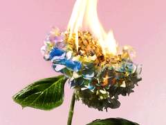 지름길의 표지판은