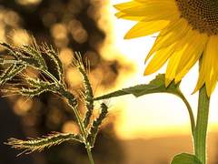 우와, 이게 뭐야?