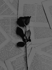 카타르시스 속 이데아 찾기