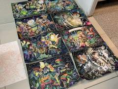 내신7.9가 합격한썰+미대 입시정보