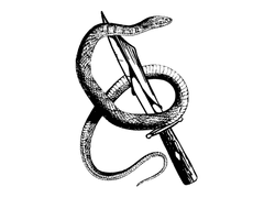 악몽, 그리고 이웃과의 첫 만남.