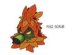 젤다의 전설 시리즈의 Mad Scrub