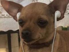 케이팝 남돌수록곡 추천