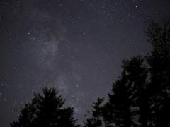 김은혁 • XY • 호랑이