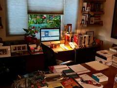 오령(五齡)/이도은