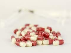 헤이우드 왕국의 레예스에게